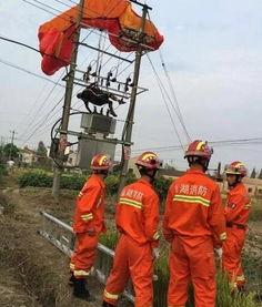 触电死亡图片,悲剧瞬间定格，生命戛然而止