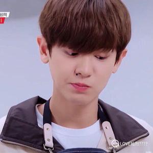 朴灿烈资料,从偶像到实力派，韩流明星的成长之路